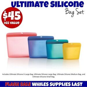 NIP Tupperware Silicone Bag set